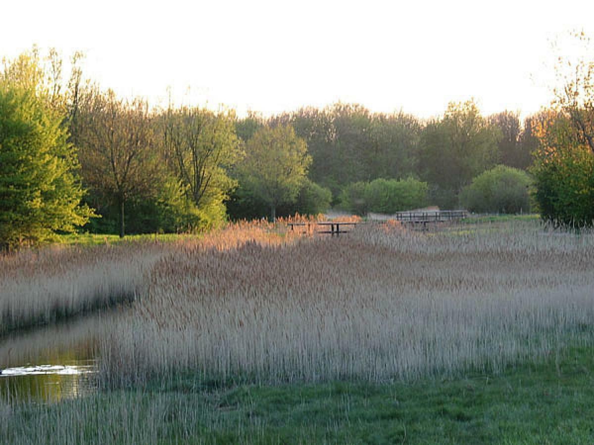 Swaenenburgh Villa Vlissingen Bagian luar foto
